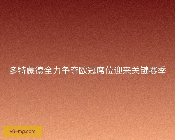 多特蒙德全力争夺欧冠席位迎来关键赛季